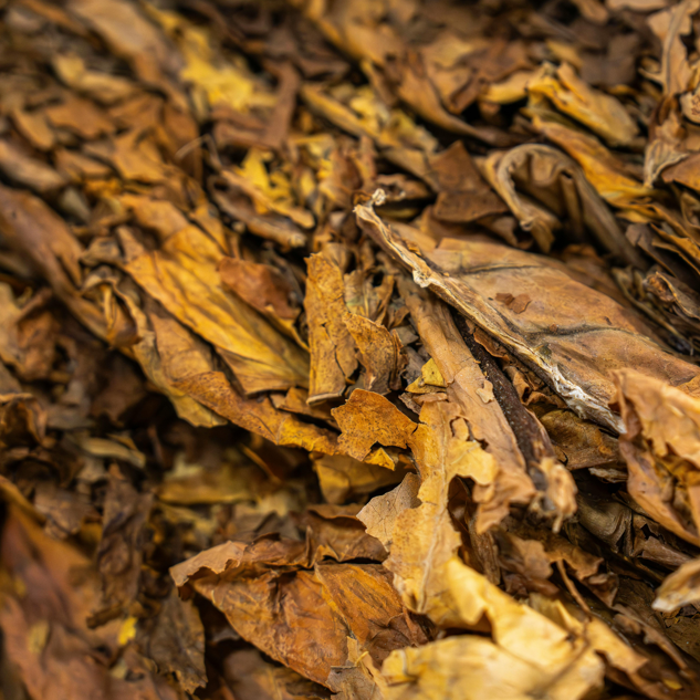 Tobacco