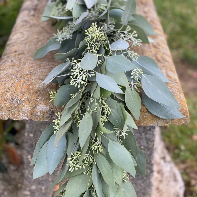 Gumtree Garland