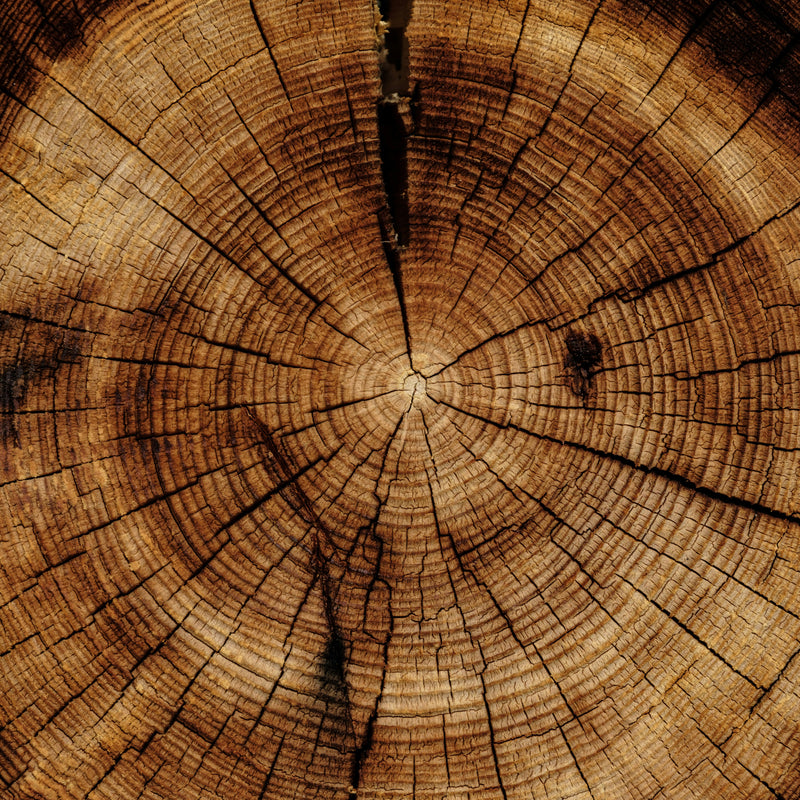 Cedarwood - Virginian