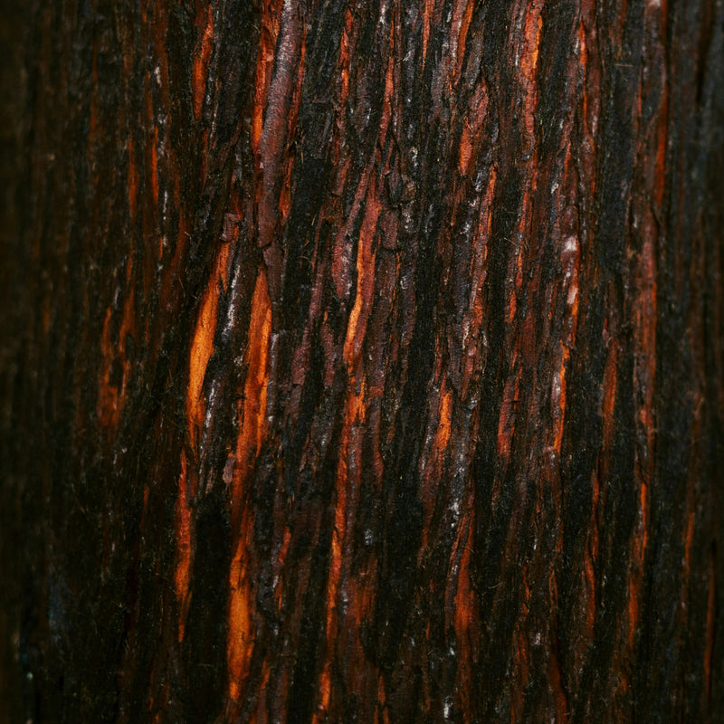 Amberwood