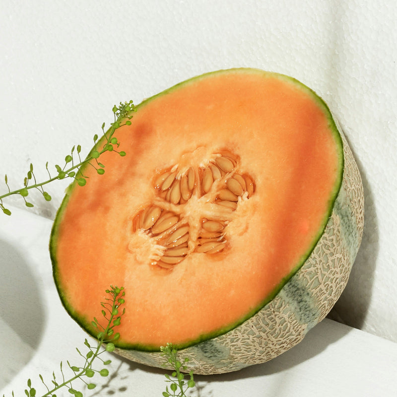 Melon